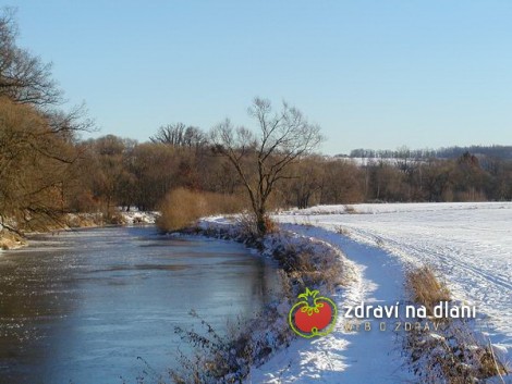 Řeka Malše / River Malse