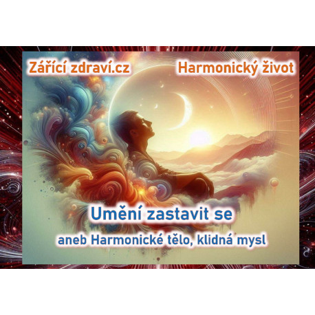 eKniha Umění zastavit se aneb Harmonické tělo, klidná mysl, e-book