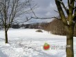 Zima v Březí /  A Winter in Brezi