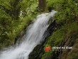 Terčino údolí / Terezia valley