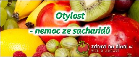 Otylost - nemoc ze sacharidů