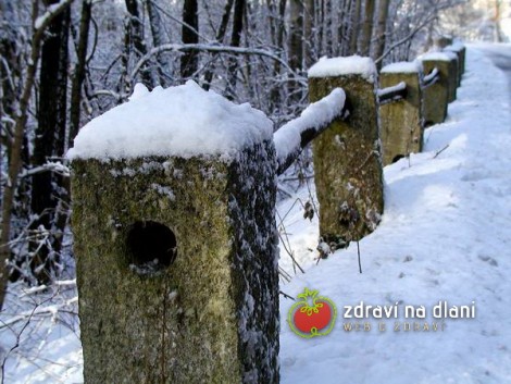 Zima v Březí /  A Winter in Brezi