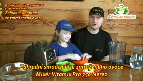 Vitamix Pro 750 ♥ Zahradní smoothie ze zmraženého ovoce