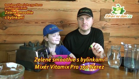 Vitamix Pro 750 ♥ Zelené smoothie s bylinkami