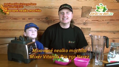 Vitamix Pro 750 ♥ Mixované nealko mochito